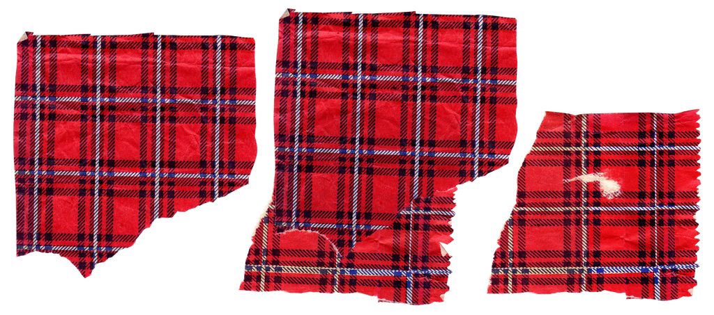 Lumberjack paper texture | PNG