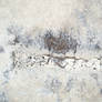 Marbled Concrete Texture