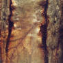 Digital Art Texture 224