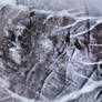 Digital Art Texture 239