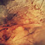 Digital Art Texture 252