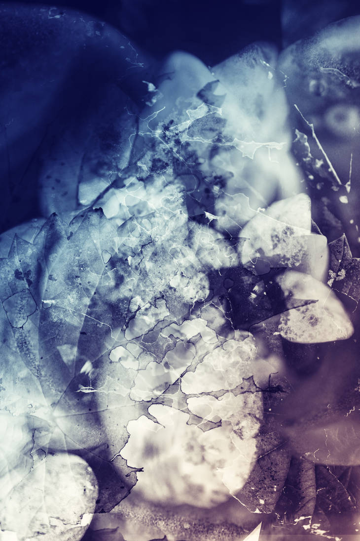Digital Texture Artwork 335 by mercurycode on DeviantArt