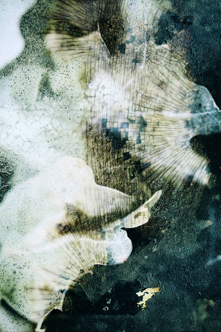 Digital Texture Artwork 365 by mercurycode on DeviantArt