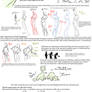 Posing and Expression Tutorial