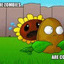 Plants Vs Zombies Couple