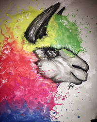 Rainbow-paca