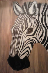 Zebra