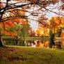 Autumn in Boston II