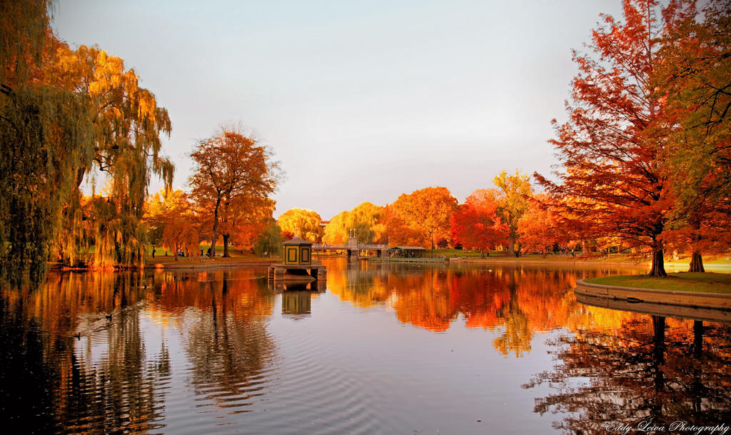 Fall Scene Boston Autumn in Boston III by MyLifeThroughTheLens on DeviantArt