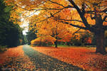 Autumn Passage by MyLifeThroughTheLens