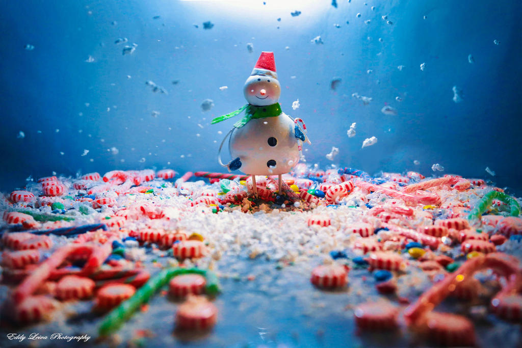 Let it Snow by MyLifeThroughTheLens Let it Snow by MyLifeThroughTheLens