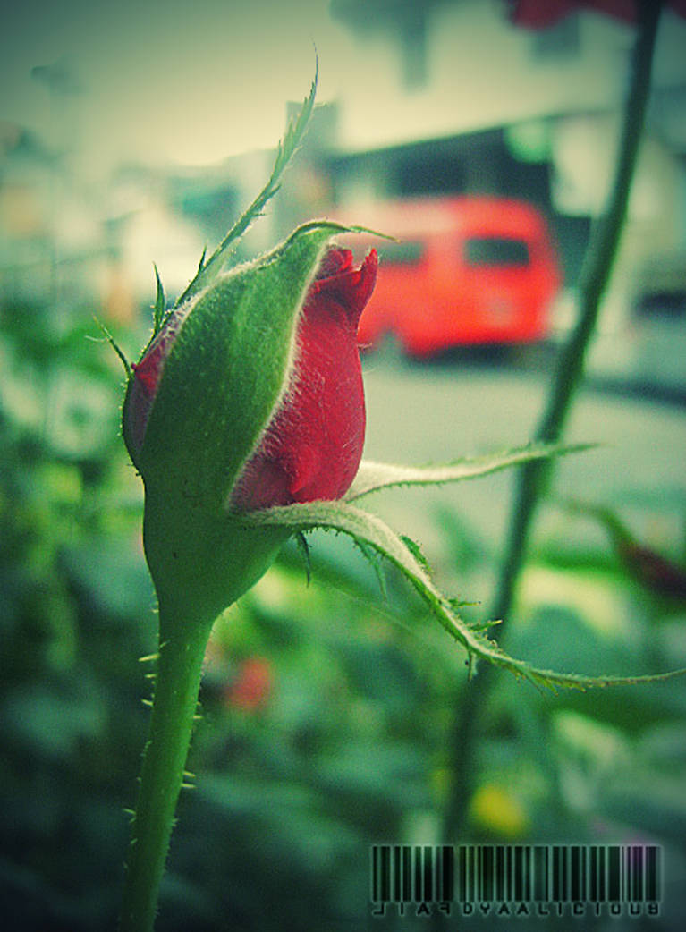 Tagsibol by dyaalicious on DeviantArt