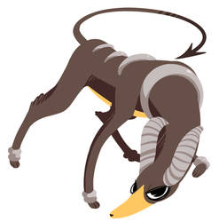 POKEYMANS: HOUNDOOM