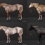 Horse Designs For Sale - OPEN!