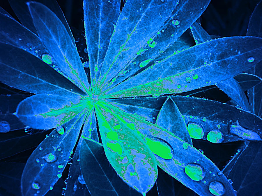 blue mess by arcticqueen on DeviantArt