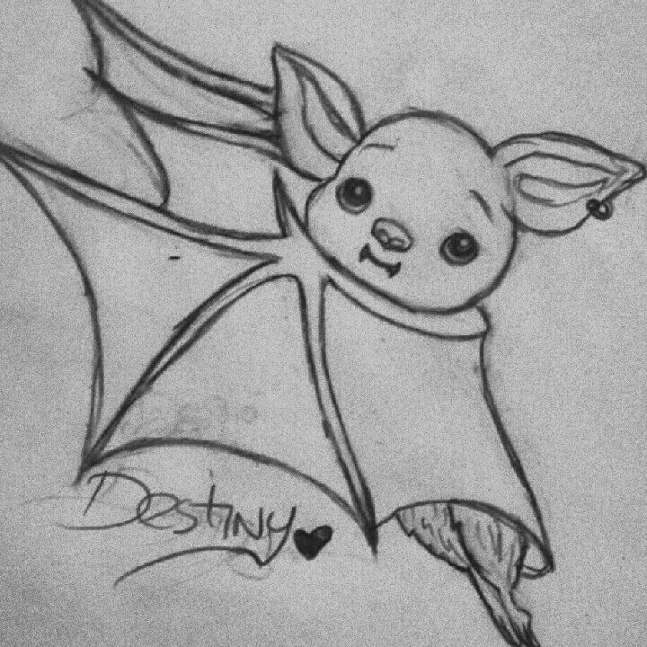 Destiny in bat form