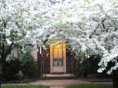 Flowering Arch