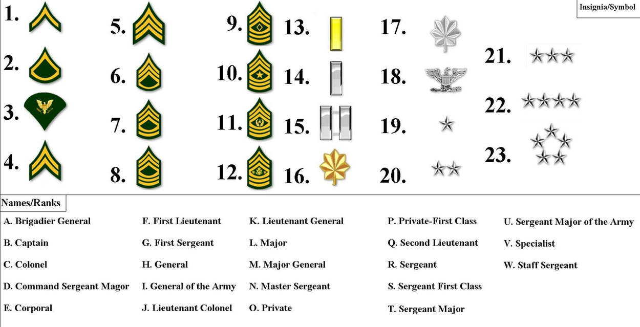 Американские погоны. Воинские звания армии США. Военные ранги США. Структура званий в армии США. Ранги в армии США.