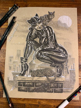 Rooftop Catwoman 