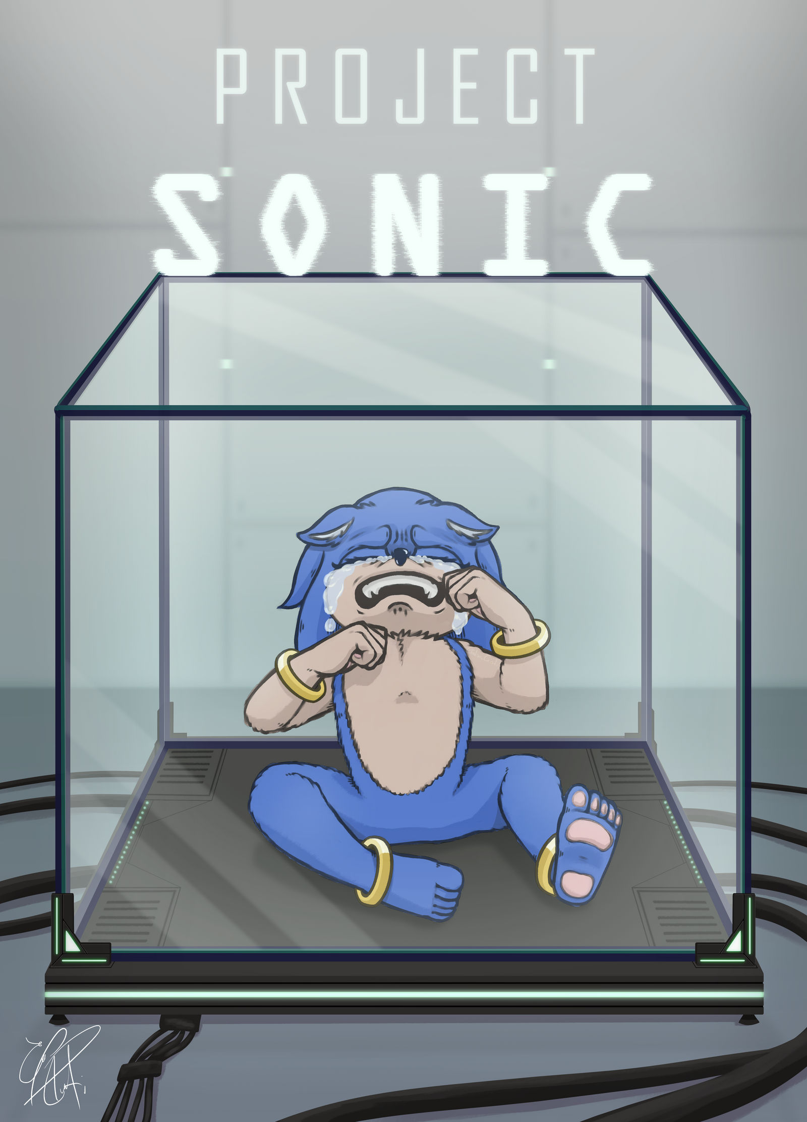 Project Sonic PROJECT SONIC: BOX by Sen-Sekai on DeviantArt