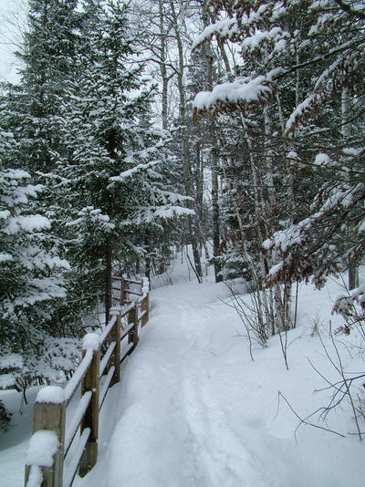 Snowy Trail Rail