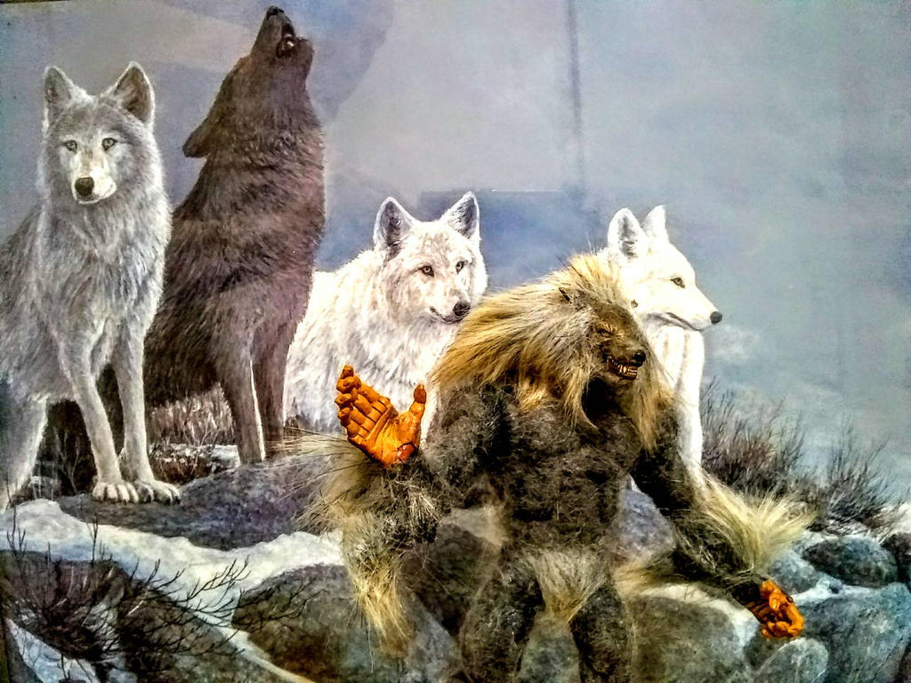 Warewolf Two Wolves werewolf and wolves. The Pack. visual figure art by ATMCTOYS on DeviantArt