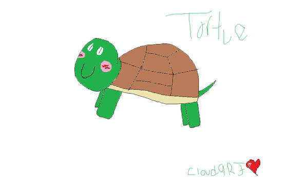 Tortue