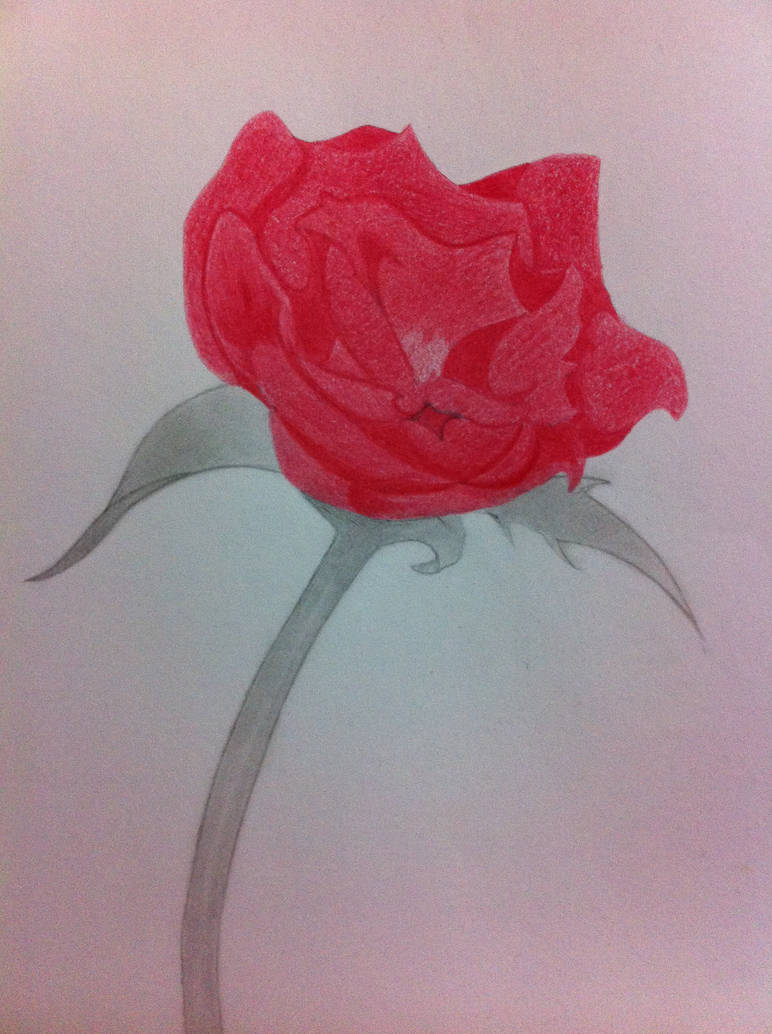 Red Emphasis by EeveeHop on DeviantArt