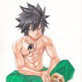 Gray Fullbuster