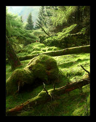 Lake District Woodland Greens