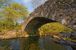 Under the Bridge by scotto