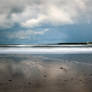 Coquet Island