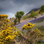 Rannerdale