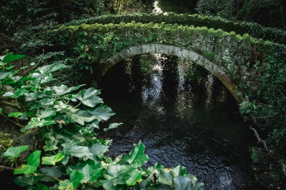 It's green down in the Dene