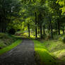 Hulne Park