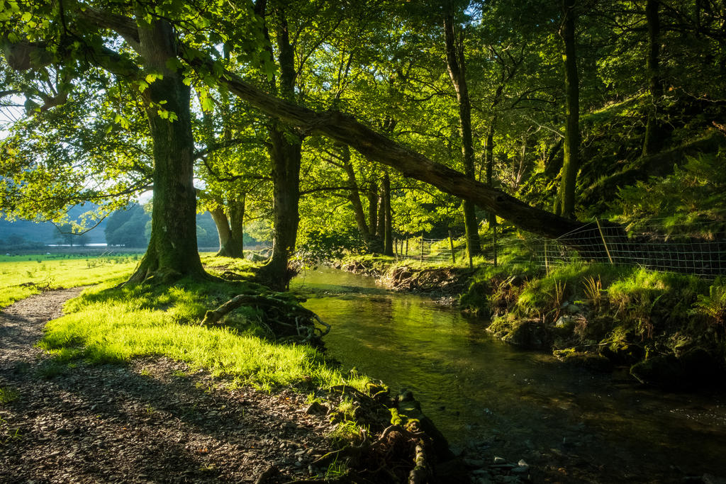 Model Trail Rivers River trail by scotto on DeviantArt