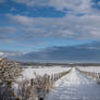 Winter pathway