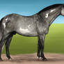 Hollendart stallion 246