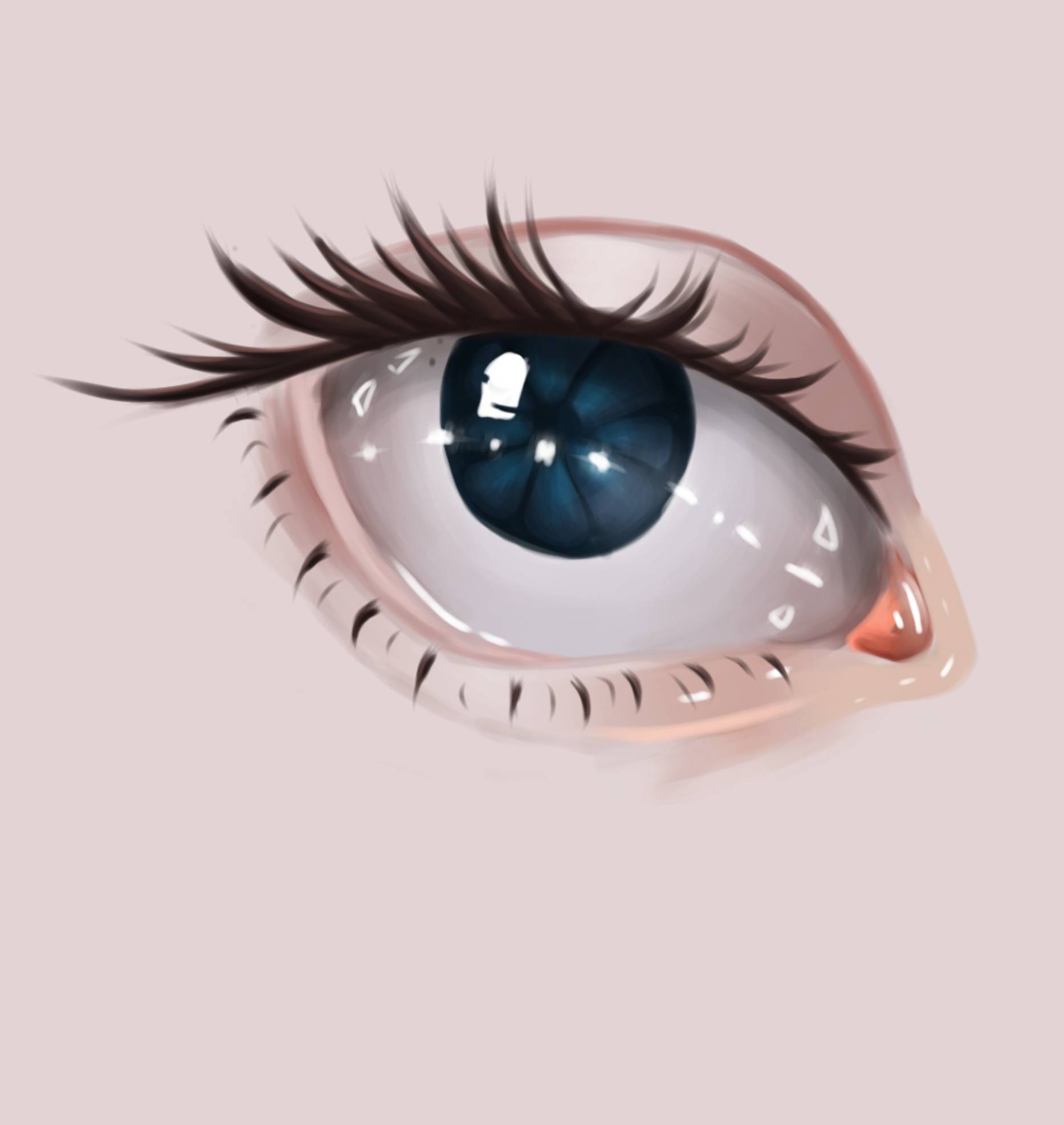 Pin by Boladão. on IBIS.  Cute eyes drawing, Makeup drawing, Eye