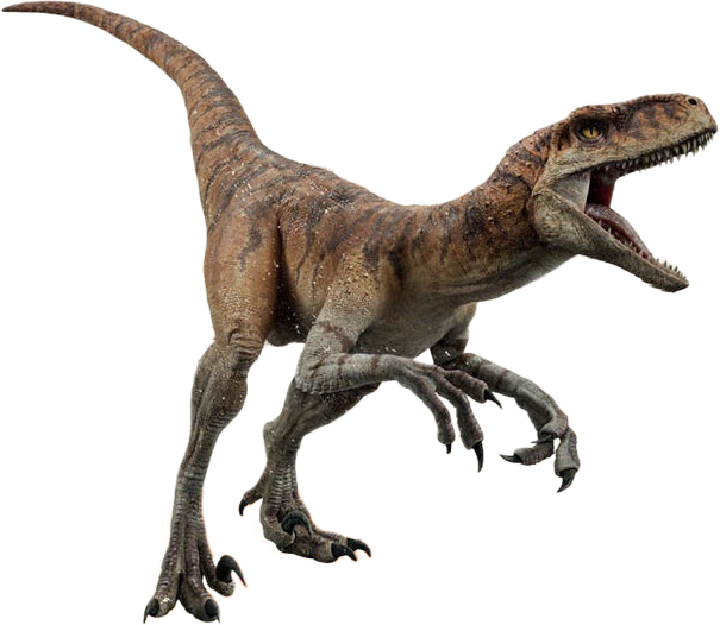 Atrociraptor Tiger Render By Jurassicworldcards On Deviantart 