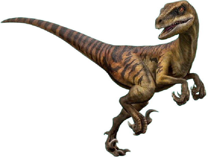 Velociraptor Echo Render By Jurassicworldcards On Deviantart 