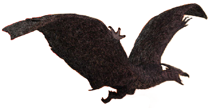 Rodan Render PNG by Jurassicworldcards on DeviantArt