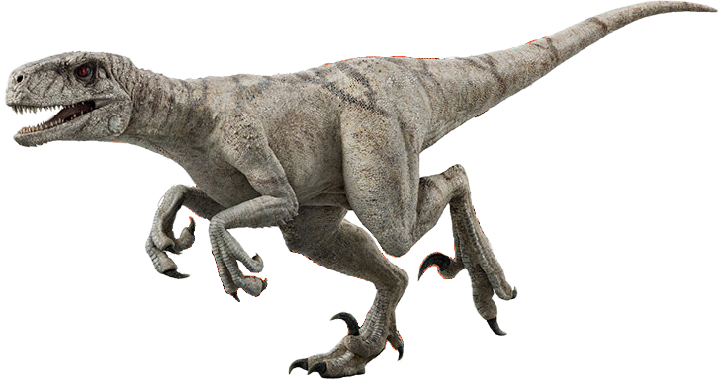 2015 Ghost Raptor Atrociraptor Ghost Render PNG (HD) by Jurassicworldcards on DeviantArt