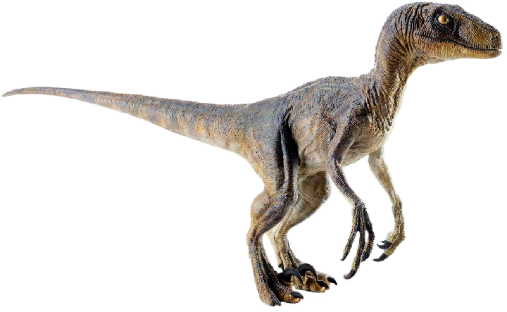 Velociraptor Maquette PNG Jurassic Park 1993 by Jurassicworldcards on ...