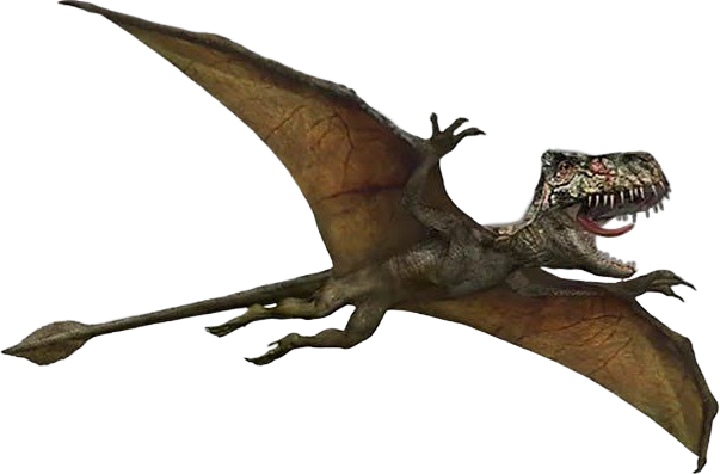 Dimorphodon Model PNG Camp Cretaceous by Jurassicworldcards on DeviantArt