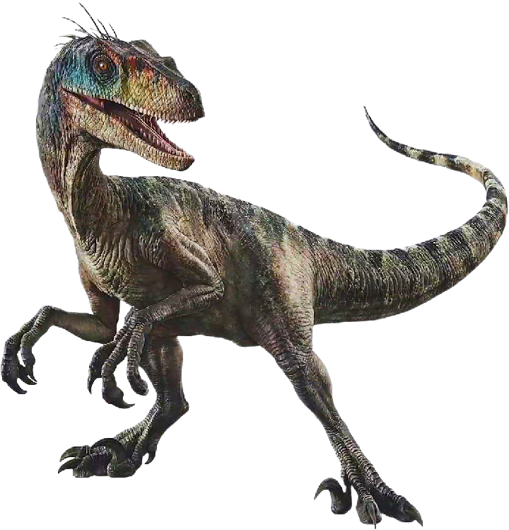 Velociraptor Render PNG - Jurassic World Rebirth by Jurassicworldcards ...