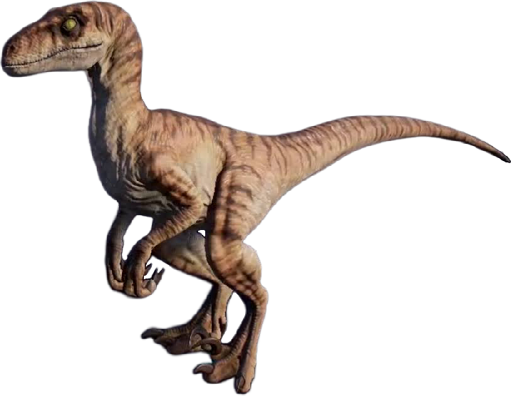 Tiger Velociraptor Render PNG - The Lost World by Jurassicworldcards on ...