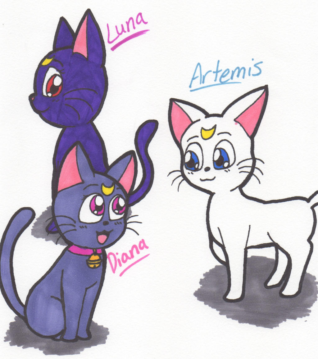 Sailor Moon Cats by Piplup88908 on DeviantArt