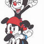 Yakko Wakko and Dot