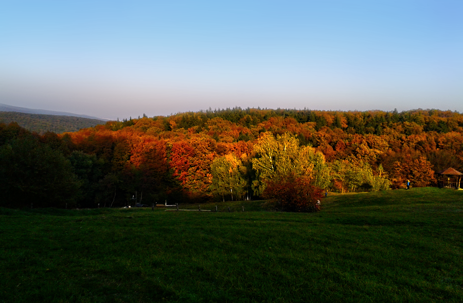 All the autumn colours